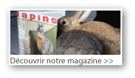 img_menu_magazine
